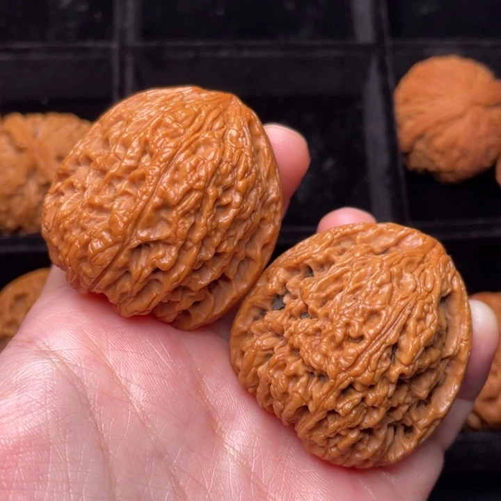 文玩核桃把件秦岭野生文玩核桃