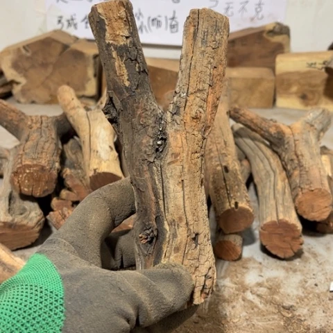 大果紫檀（缅甸花梨）&**孙