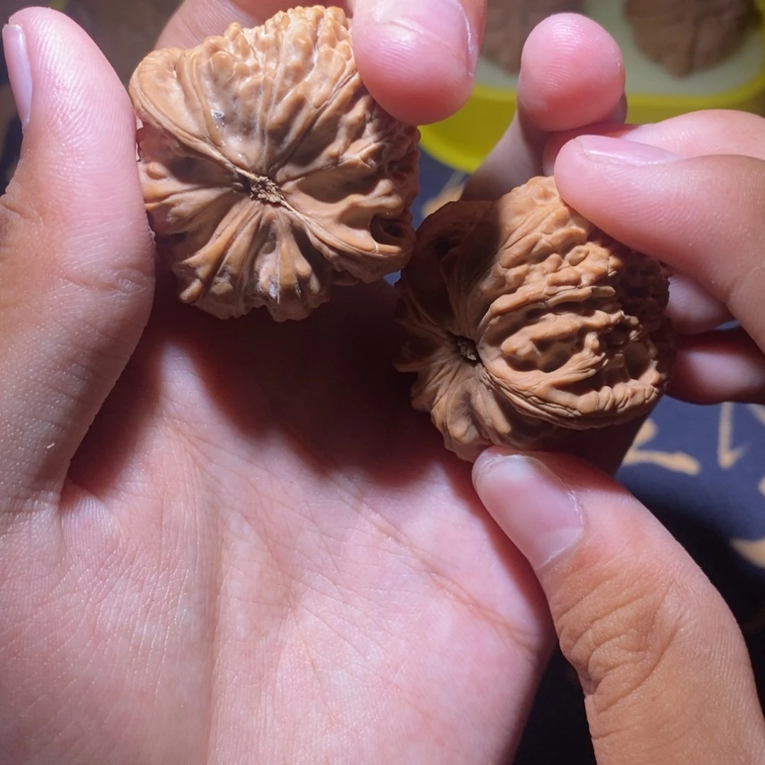 小***.文玩核桃福利白狮子全品