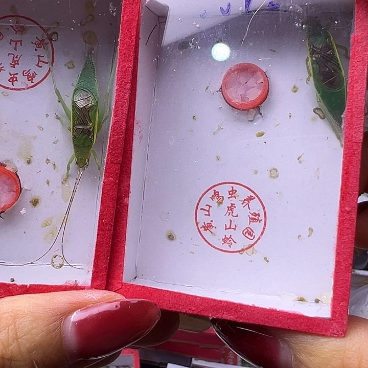 用***5哈哈哈哈哈哈哈哈哈哈哈哈