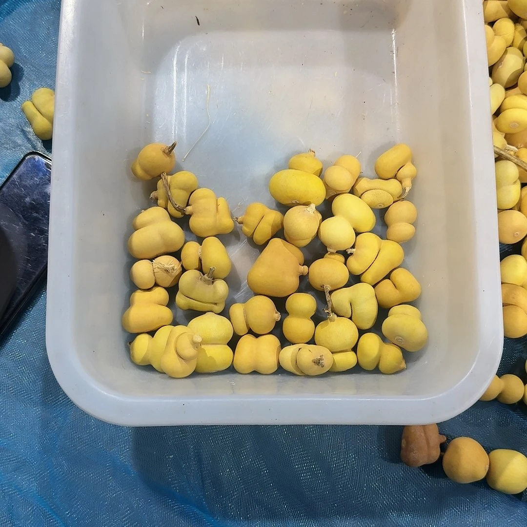 七***吖木30个钱袋1235块就有