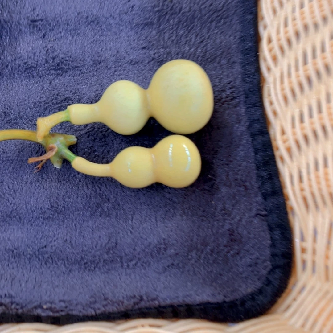 呗***爷天津嘴儿葫芦葫芦