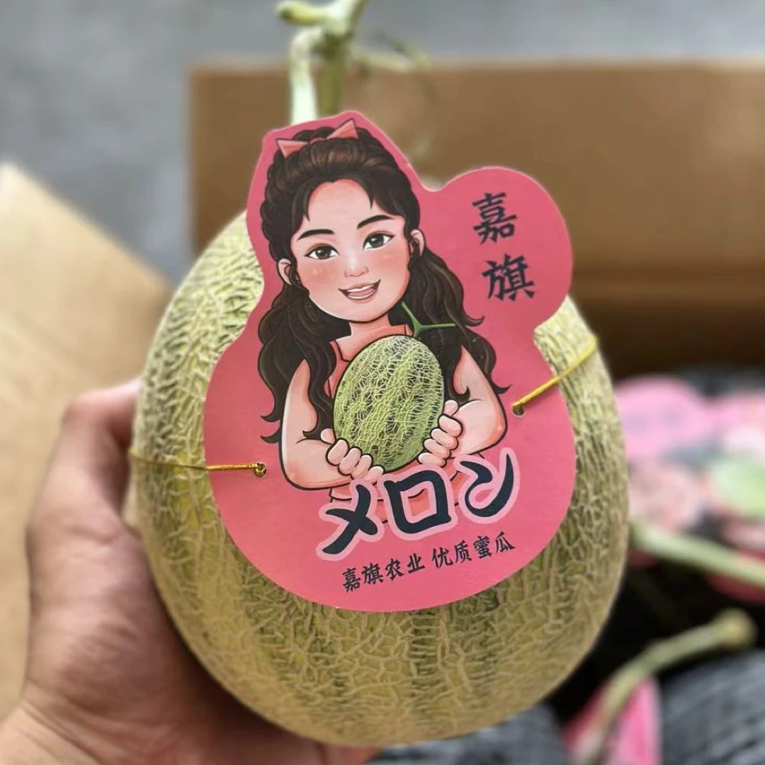 新疆特产老汉瓜柏谢克辛黑眉毛伽师瓜新鲜水果孕妇健康果哈密瓜新疆维吾尔自治区