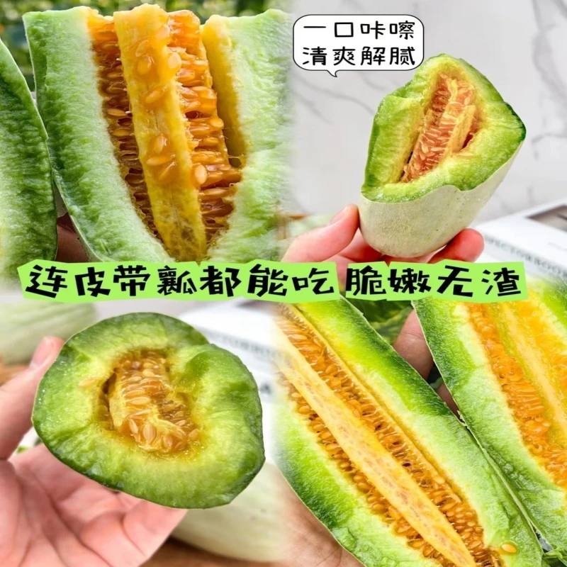 【巨甜】正宗头茬博洋61羊角蜜甜瓜蜜瓜香瓜新鲜应季孕妇水果整箱装