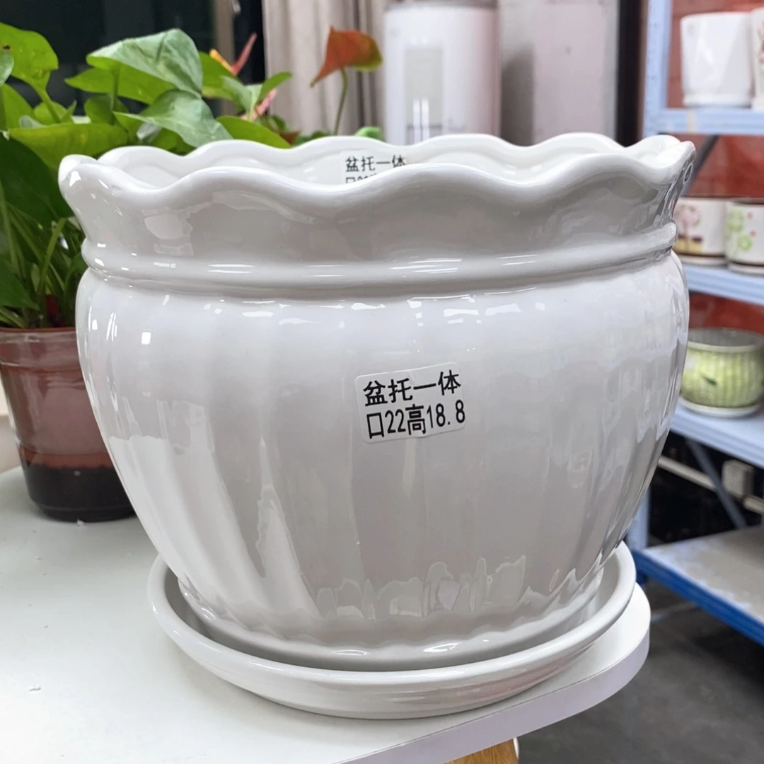 陶瓷@陶瓷花盆@@5581