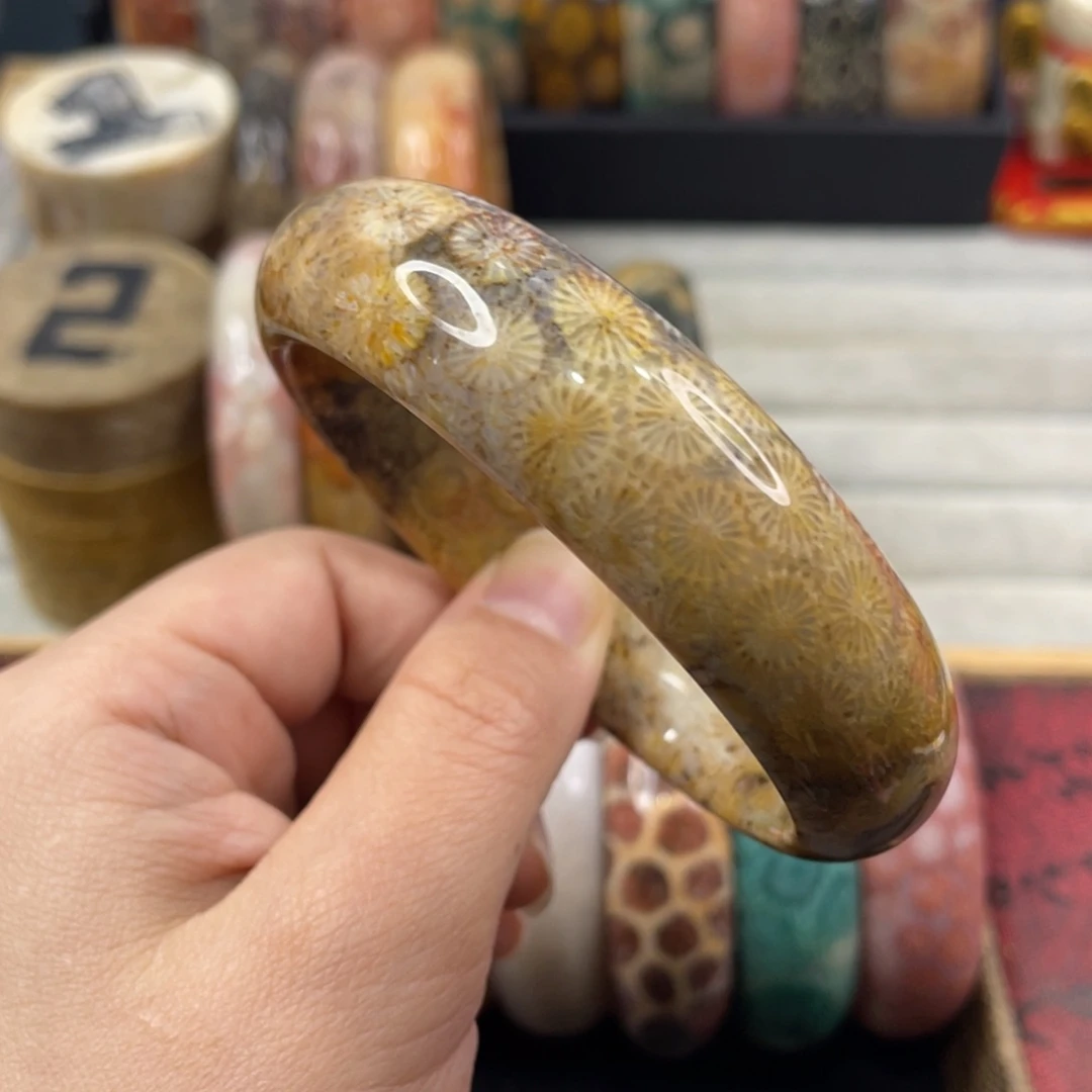 未镶嵌手镯硅化玉