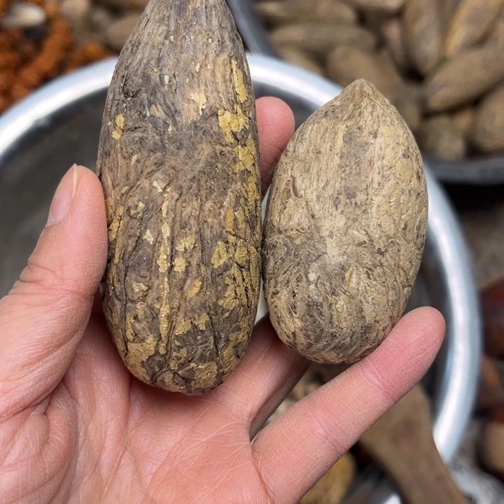 吊坠千眼菩提千眼菩提 111。