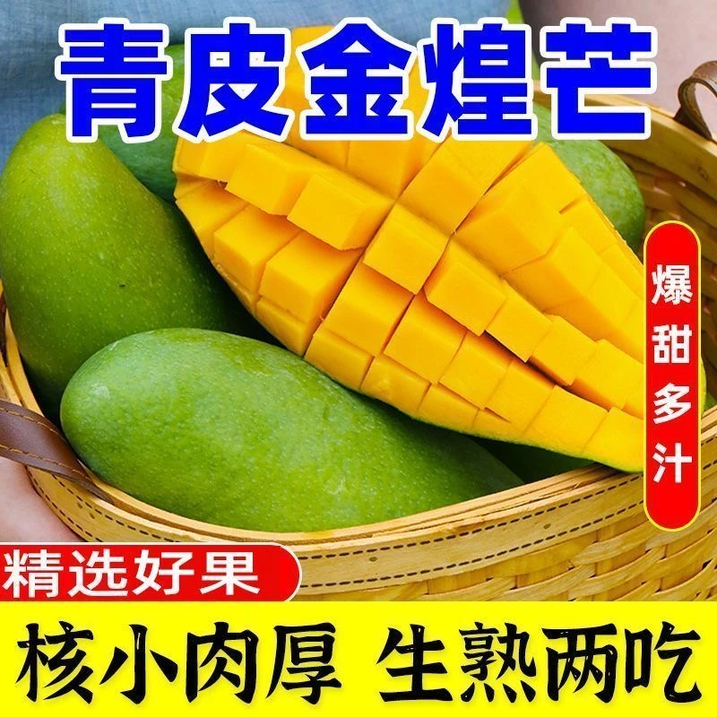 金煌芒百色正宗青皮-树熟更甜薄核无丝肉厚-现摘发货新鲜芒果水果