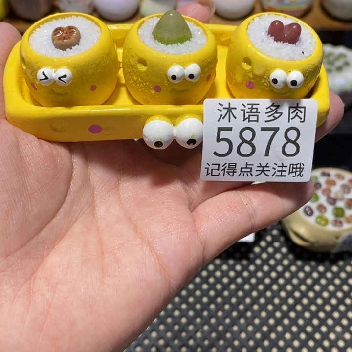 勇***子带盆土植物 一物一拍5878