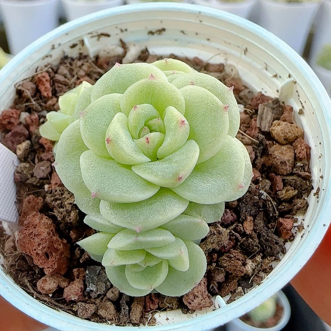 1117-15（ppt-121）优选