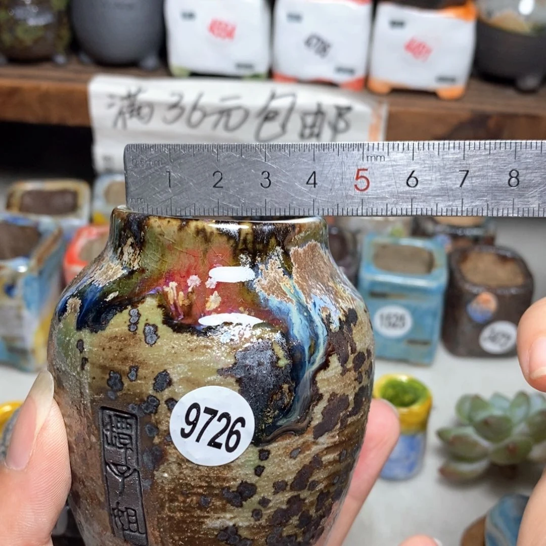 拍5送一个小礼物