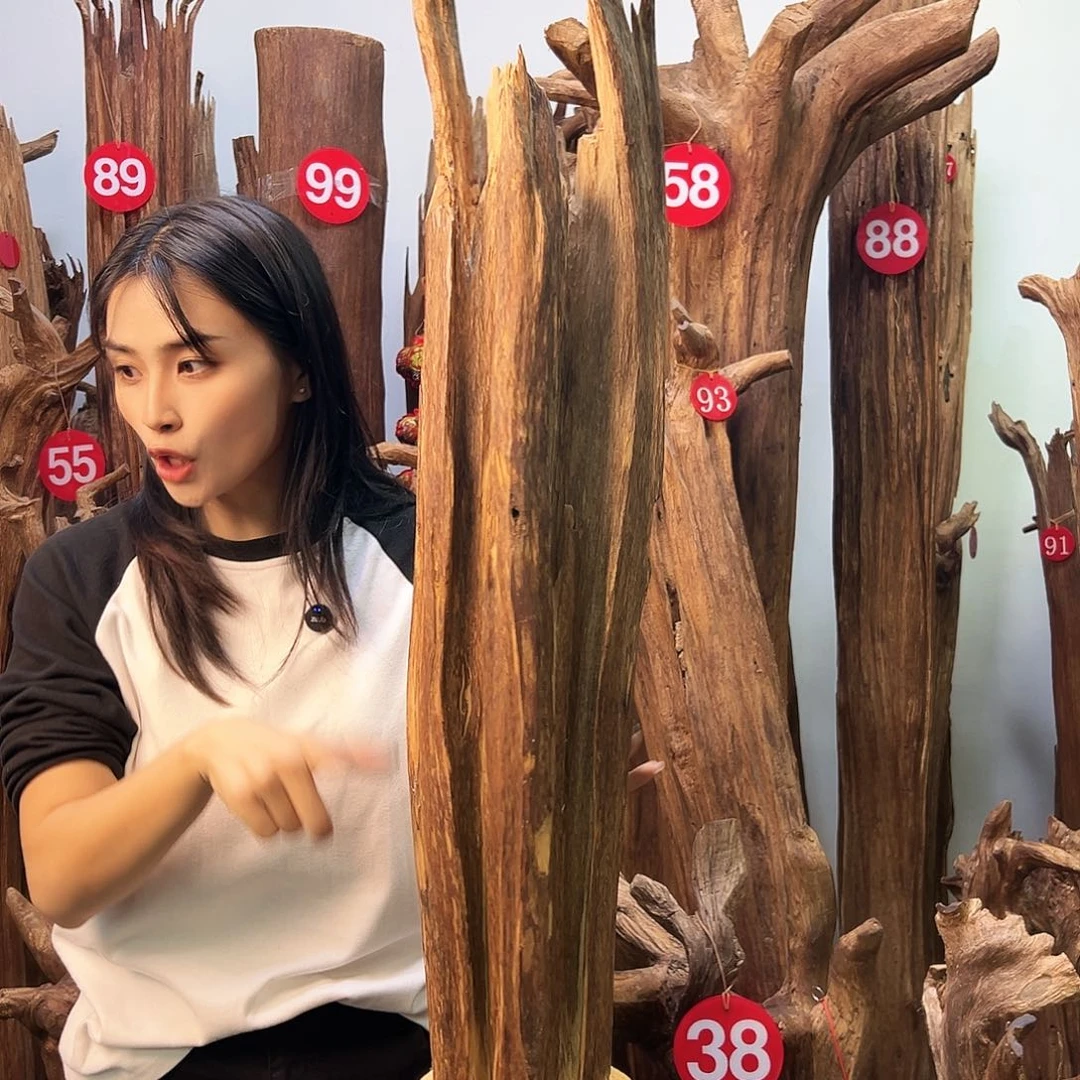 沉香摆件天然沉香原材料高品质