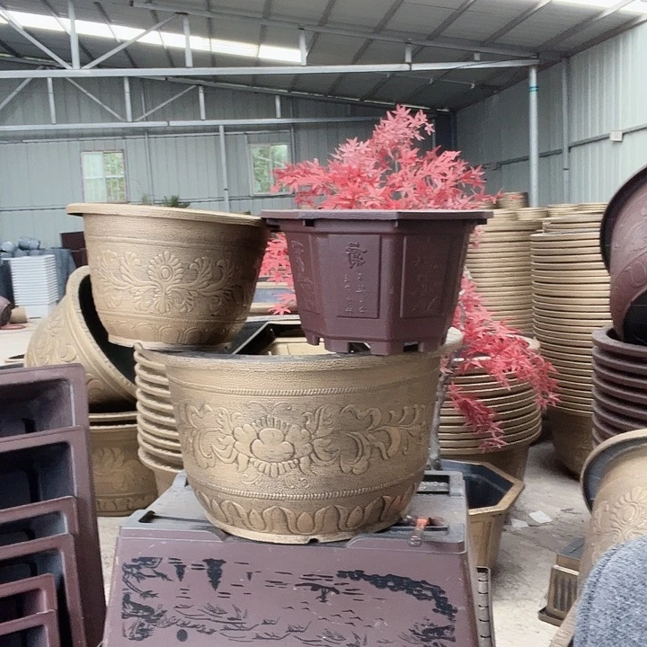 圆83四个有孔金色的