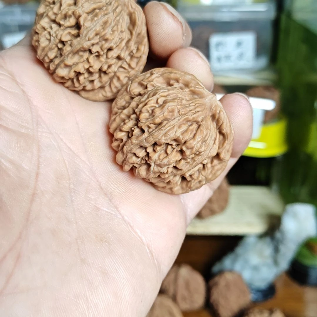 42加尺寸四座楼看货下单