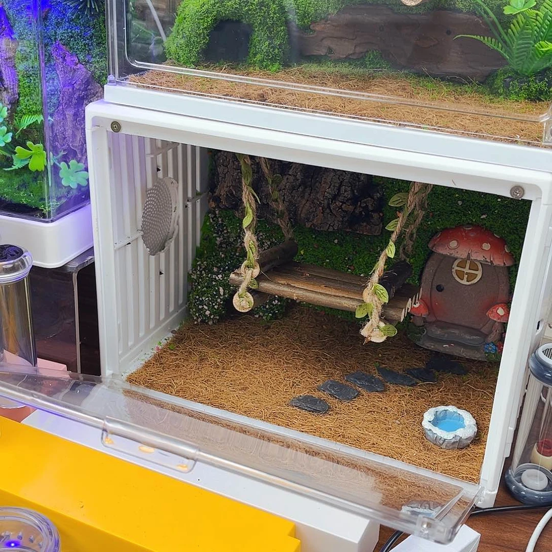 拍拍拍拍拍拍拍拍拍