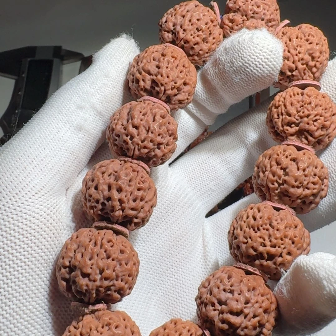 金刚菩提吊坠下*秒古龙蜂王