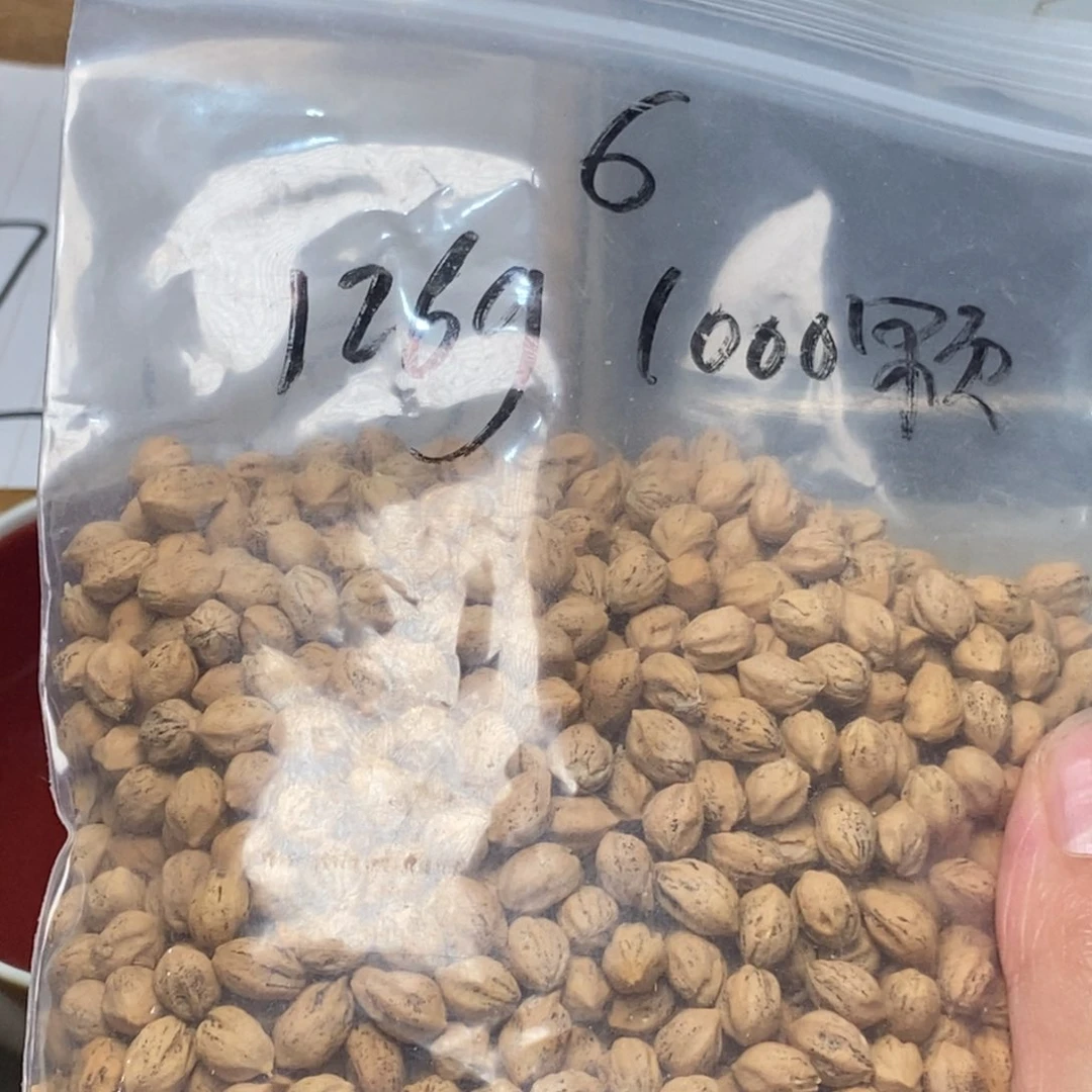 柏香籽/百香籽吊坠