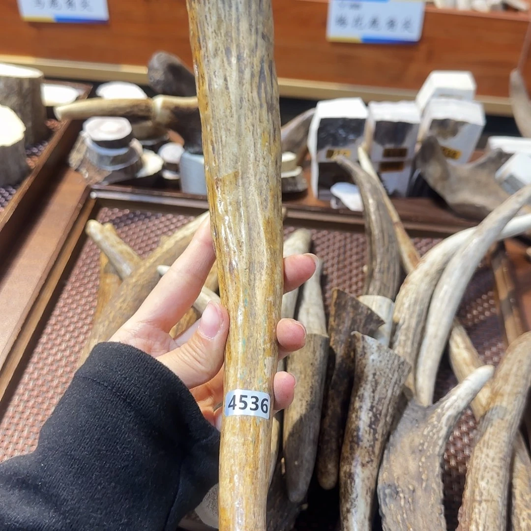 鹿骨手串/手链4536角尖