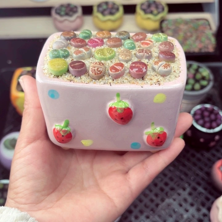 6006 零下地区记得拍保温箱满18包邮