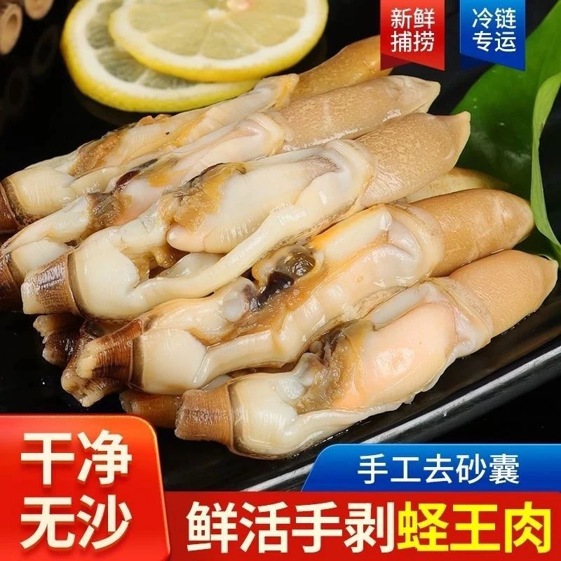 现剥新鲜速冻海捕蛏王肉蛏子竹节鲜活肉鲜圣子冷冻水产海鲜贝类