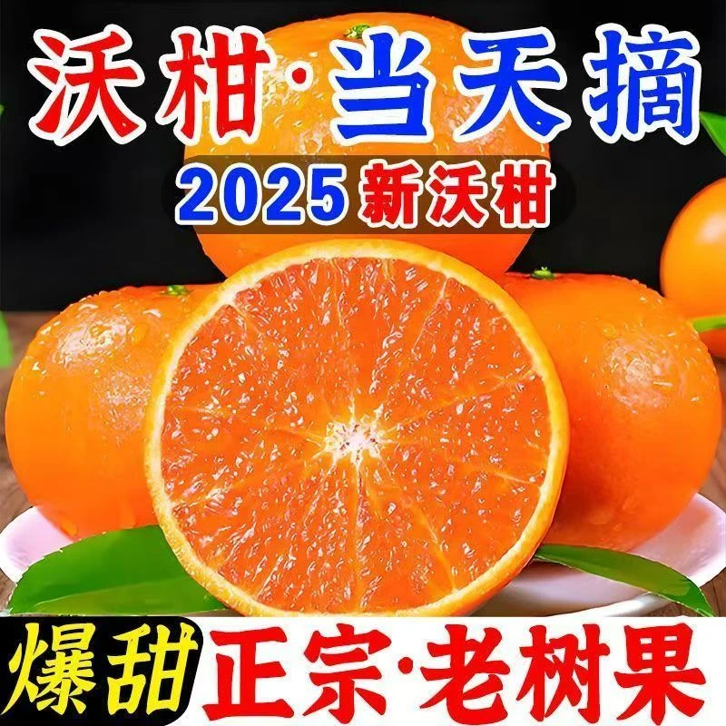 【新果批发】云南高山新鲜沃柑超甜橘子当季新鲜沙糖蜜时柑橘