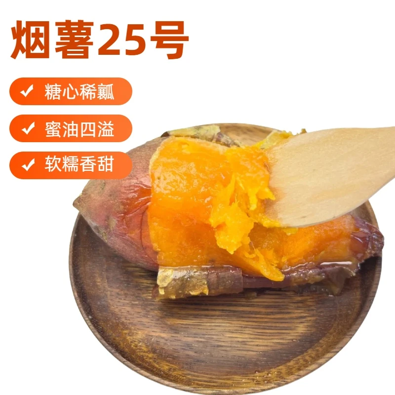 山东正宗烟薯25号沙地红薯糖心流油软糯香甜新鲜烤地瓜农家自种