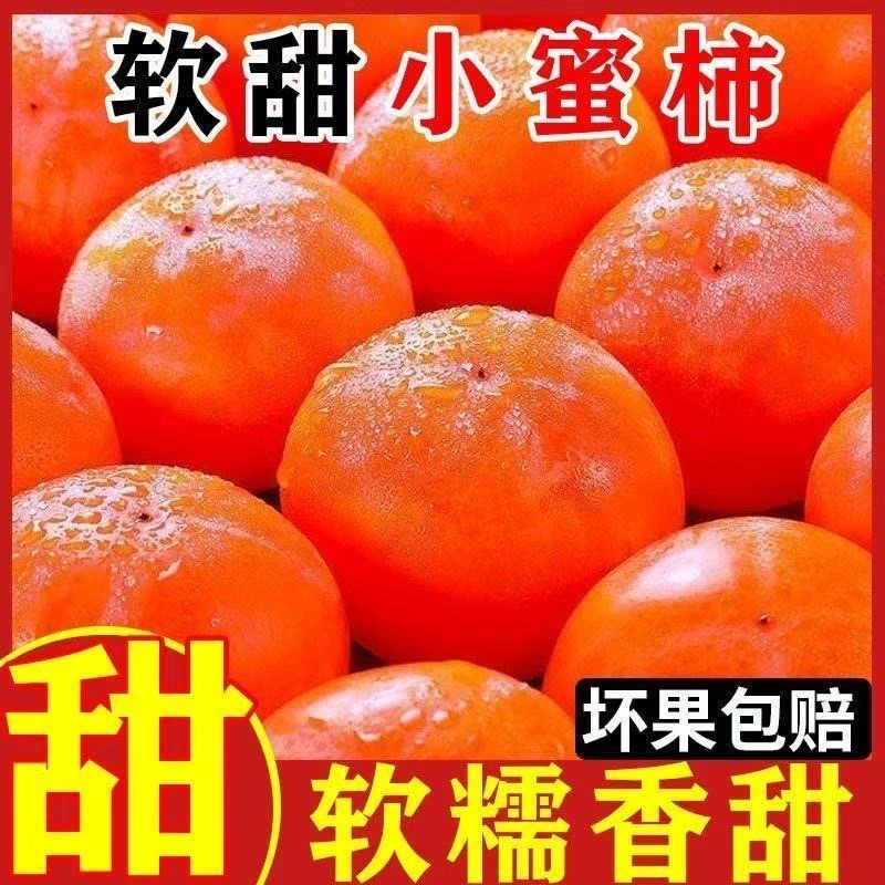 S七月黄柿子香甜皮薄肉厚清甜爽口流心柿子新鲜水果货到催熟2-5天