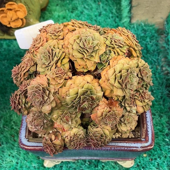 9，，，，，，，，，，，，，，，，，，