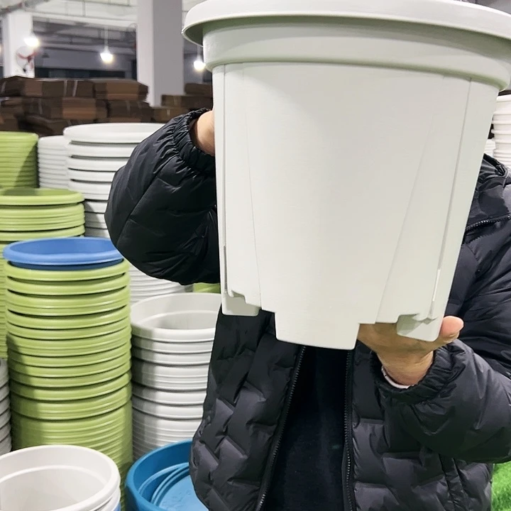 清仓青山口32高28灰白色5只无托