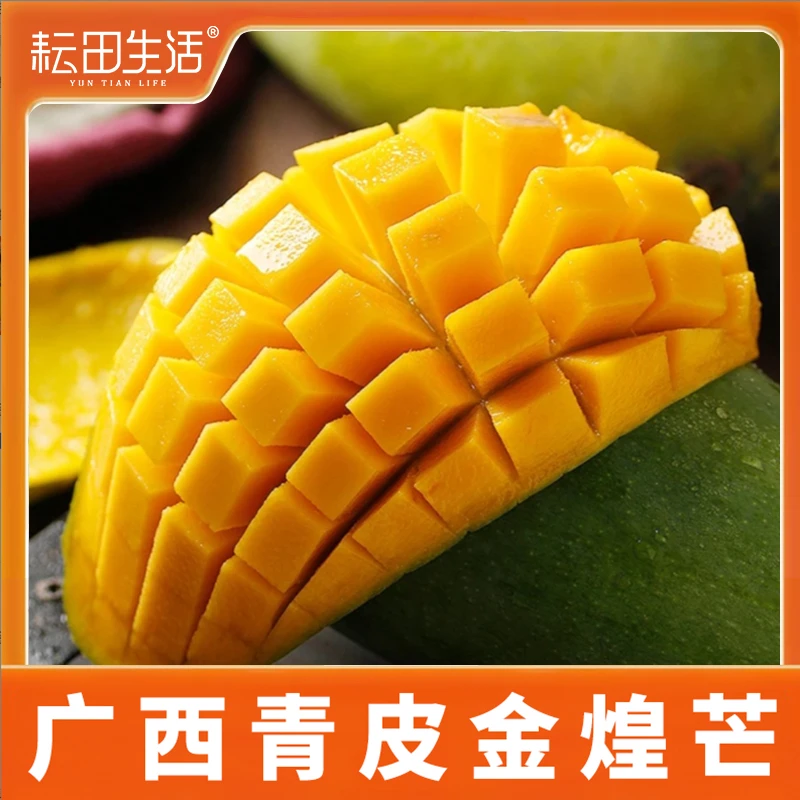 广西金煌芒果广西直发5斤当季水果新鲜采摘整箱现摘
