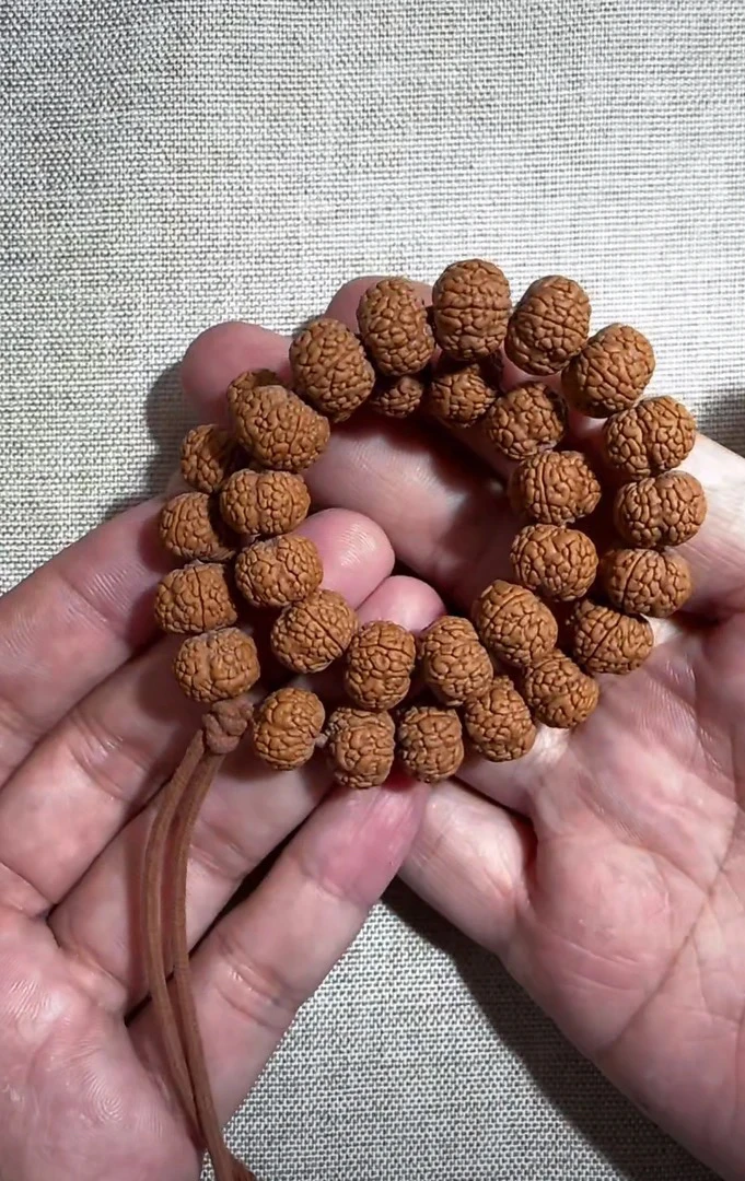 【四瓣龙鳞单圈】原装小金刚菩提毕业单圈