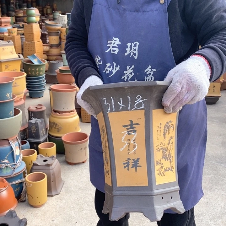 紫砂花盆紫砂花盆盆栽花卉种植