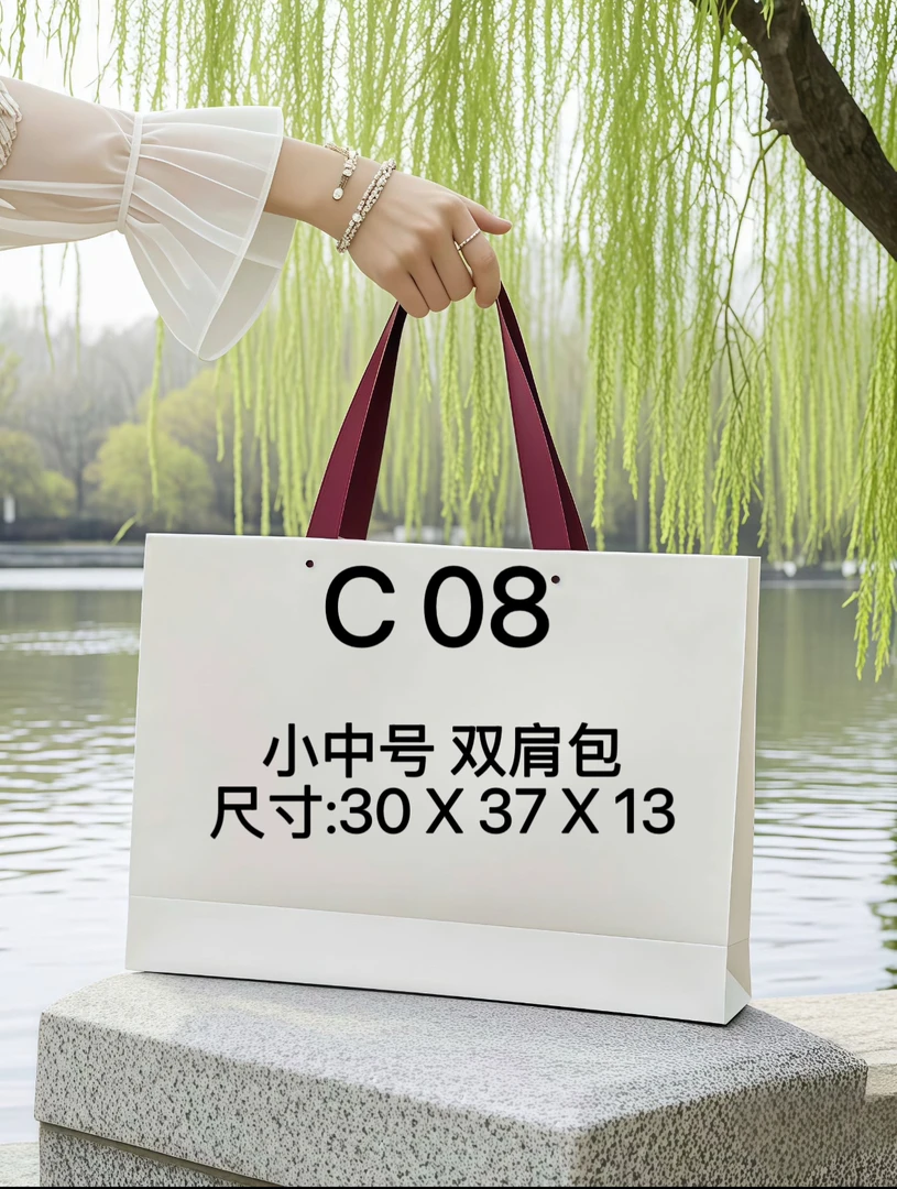 C 08小中号 双肩包 单肩斜挎休闲女包冬季新款