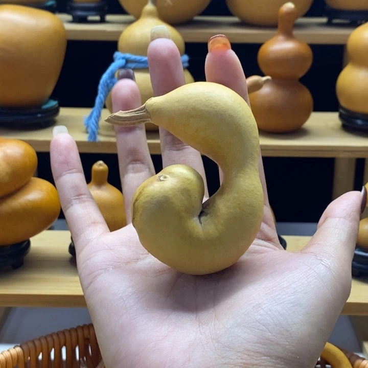 山***6葫芦朋友拍的可可爱爱的葫芦