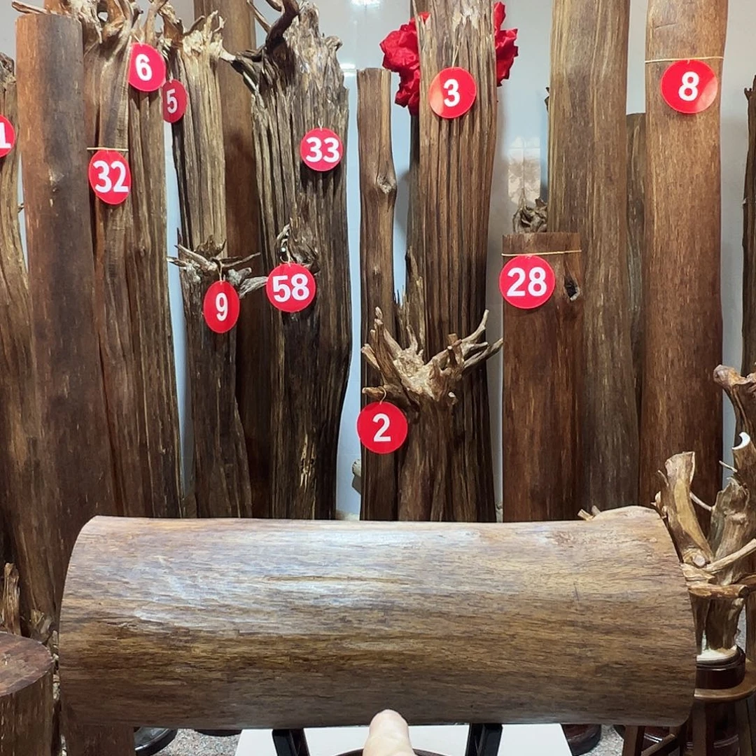 探***材沉香摆件沉香原料