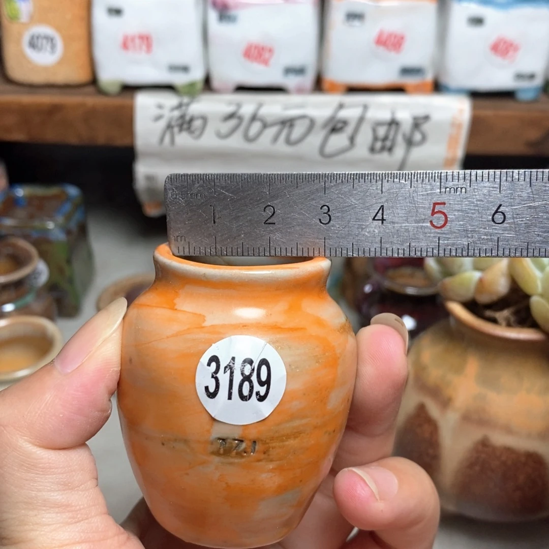 拍5送一个9.9元的盆