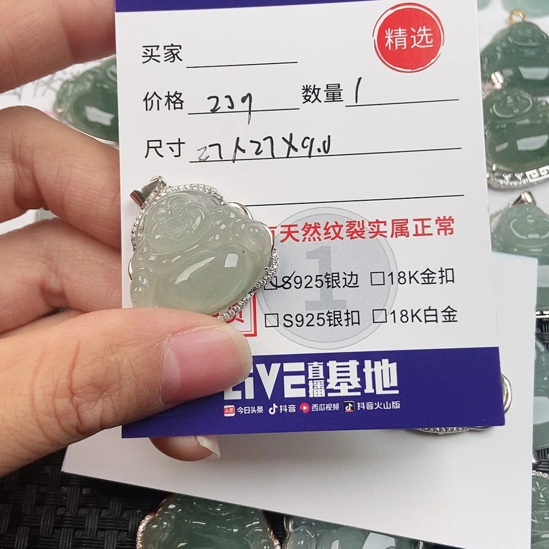 陈***燕翡翠银S925镶嵌颈饰