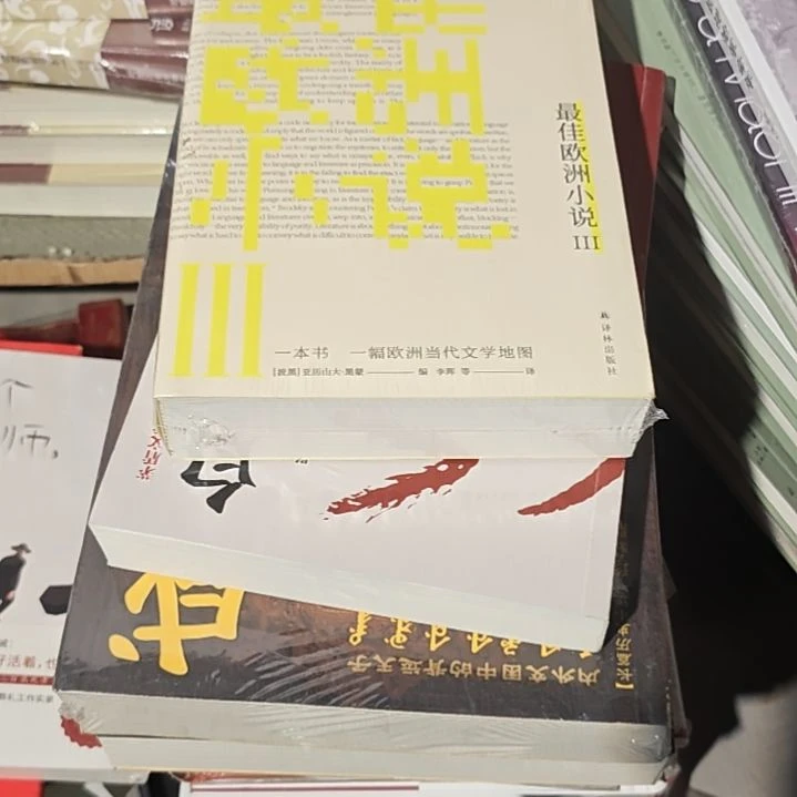 最佳欧洲小说平装塑封全新正版