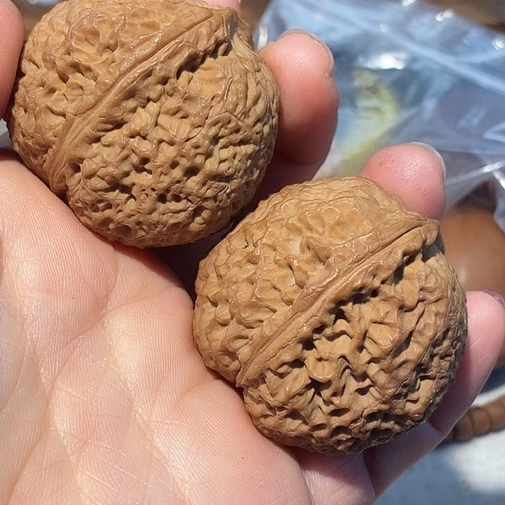 把件文玩核桃88777778888