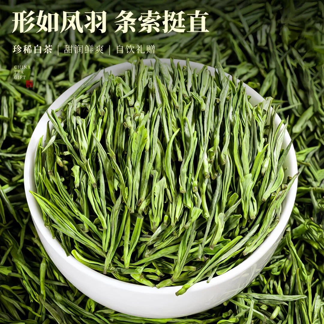2025年雀舌新茶绿茶茶叶