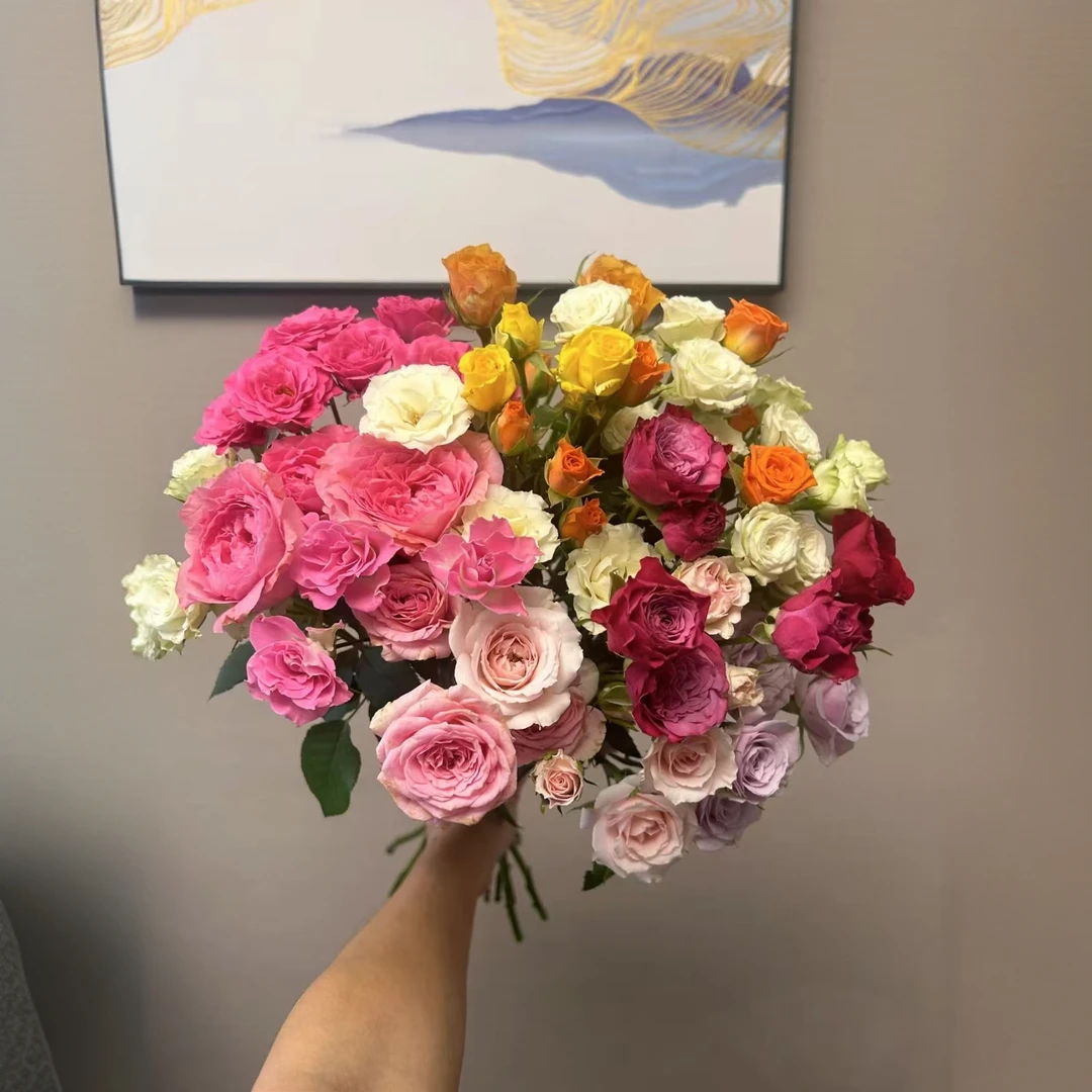 【秦小胖】混色多头玫瑰（注意：特殊花材，收到带包装醒花）
