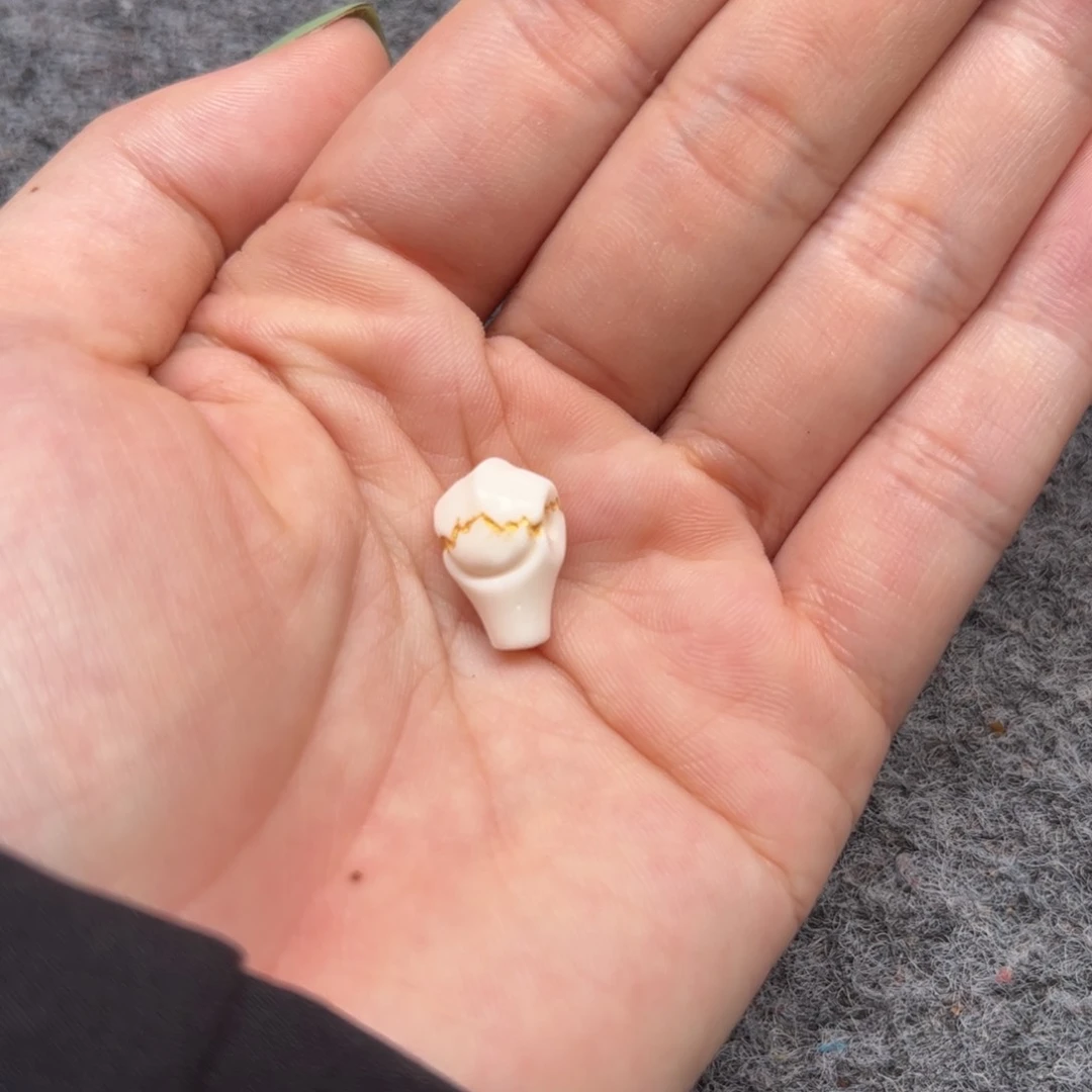 手串/手链驼骨驼骨8