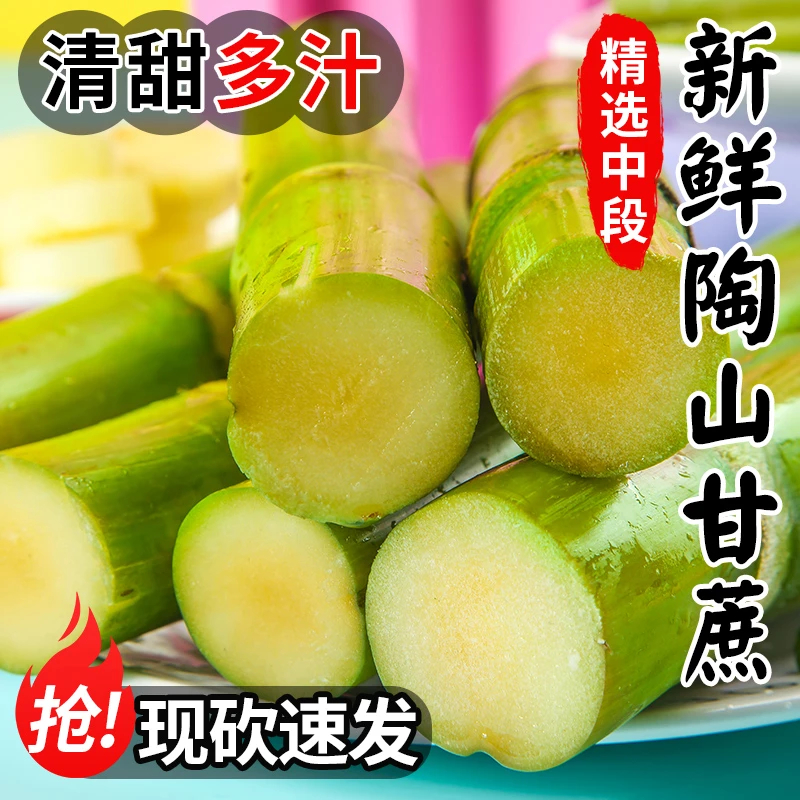 顺丰包邮陶山甘蔗新鲜应季清甜多汁现砍现发产地直发水果甘蔗