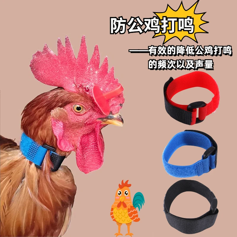 防鸡打鸣防公鸡鸭鹅打鸣鸡项圈 防公鸡鸭鹅打鸣颈带项圈用品