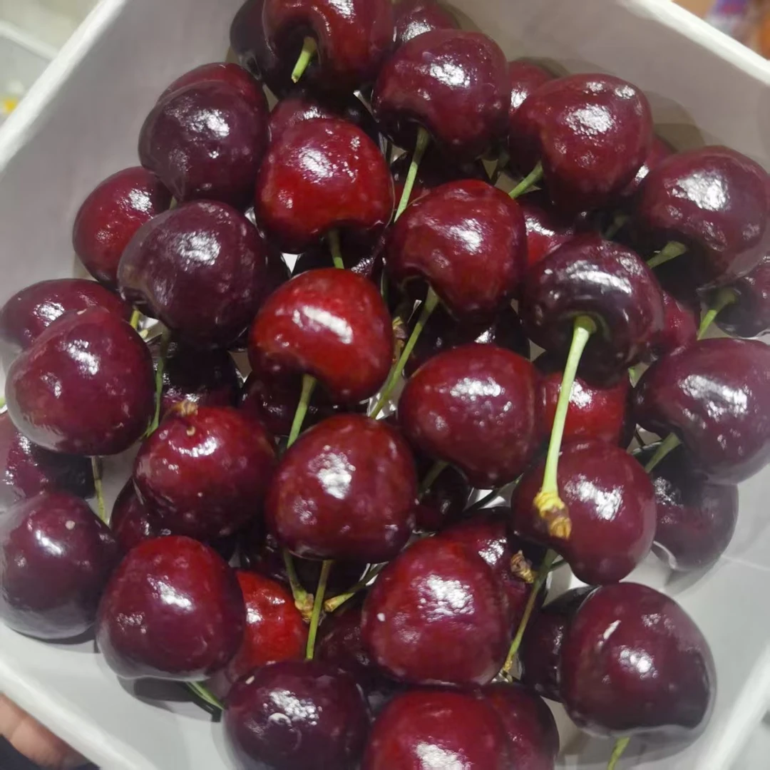 桑提娜车厘子，一斤左右，J,海运桑提娜智利智利