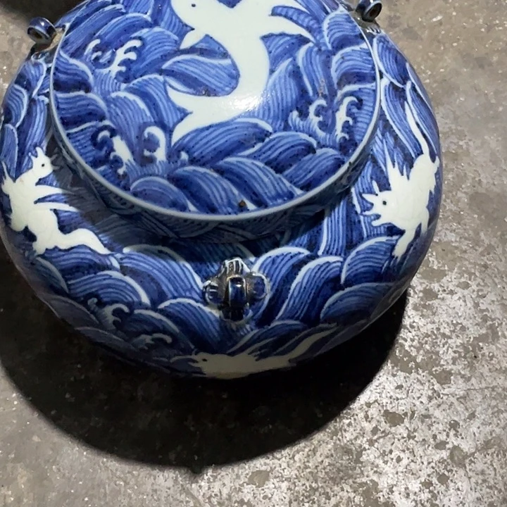 喜*鱼海水青花灌漂亮