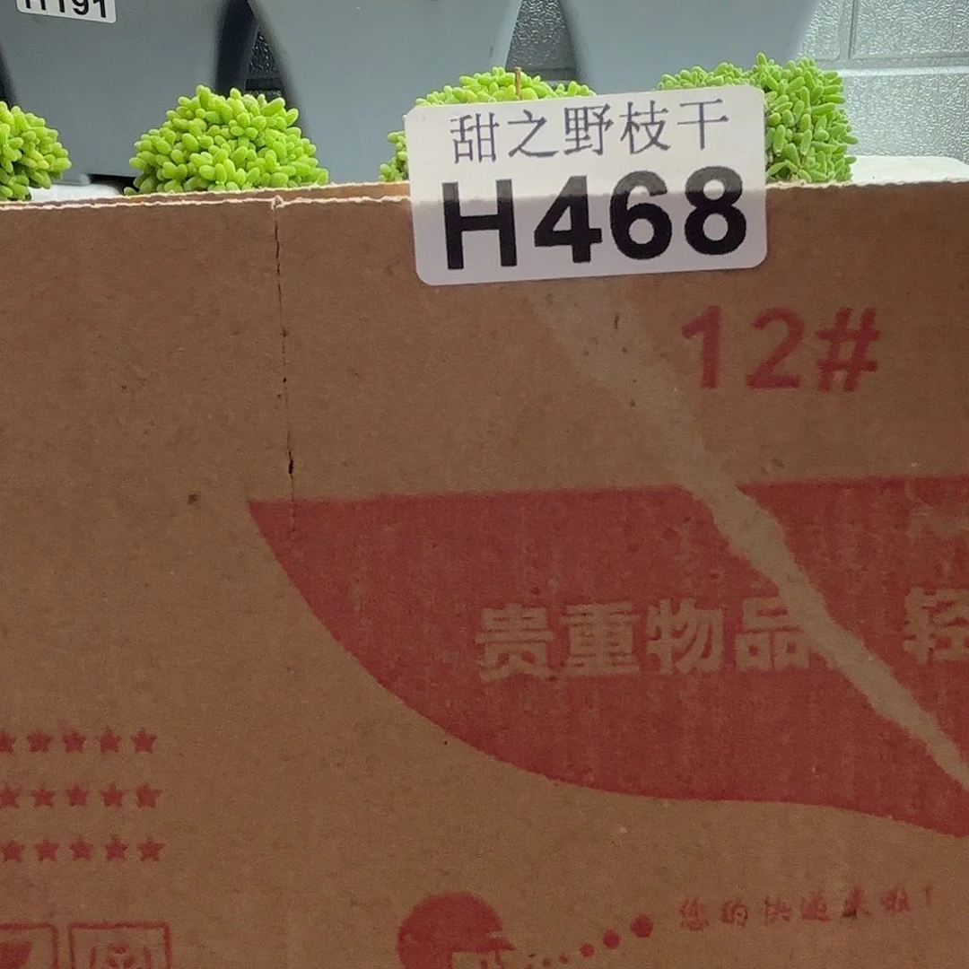 468盲拍枝干番杏福利