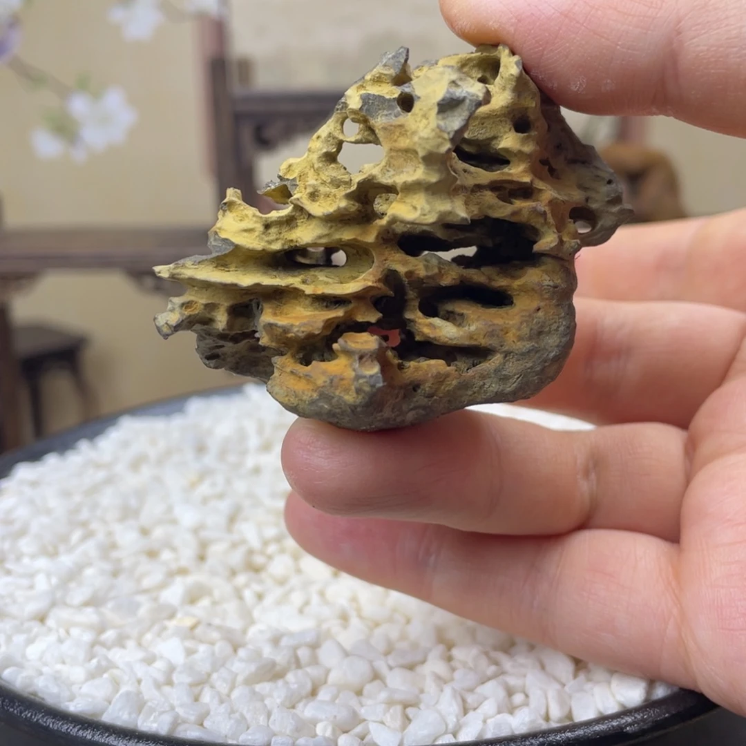 5*5.5苏州太湖水石一方