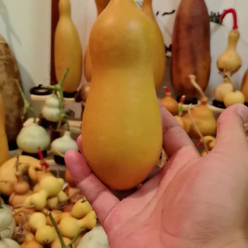 九***豪文玩葫芦瓶子。。。。。