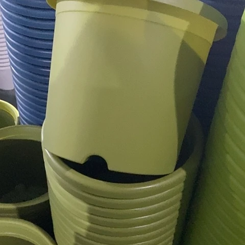 树脂四季5号果绿无托6个特价